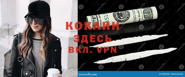 гидра Богородицк