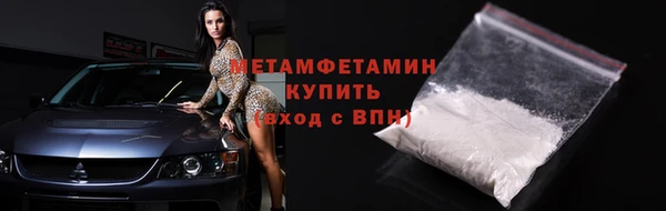 гидра Богородицк
