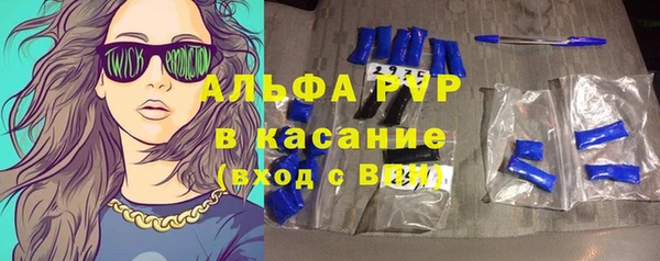 гидра Богородицк