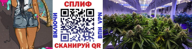 ссылка на мегу маркетплейс Павловск Шишки марихуана VHQ